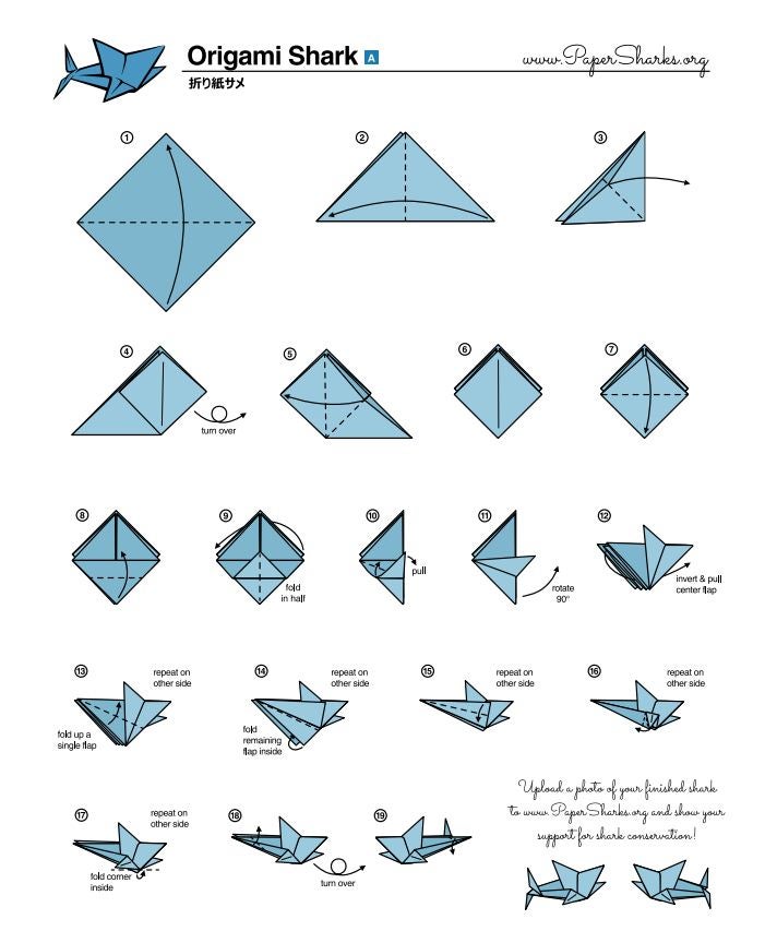 Fold Your Own Origami Shark At Home Oceana