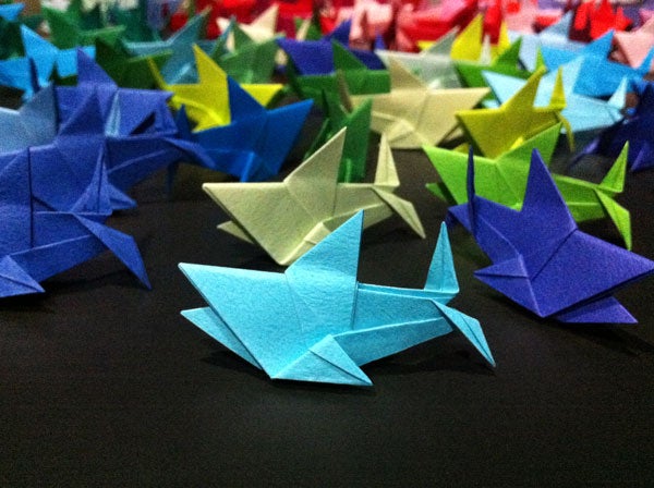 Fold Your Own Origami Shark At Home Oceana