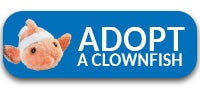 Adopt a Clownfish