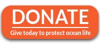 Donate to Oceana