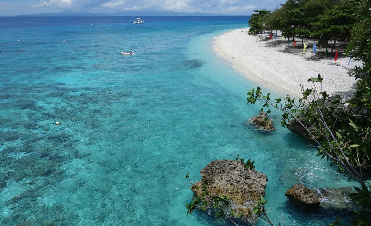 A Tiny Reef in the Philippines Offered Early Proof That Marine Parks ...