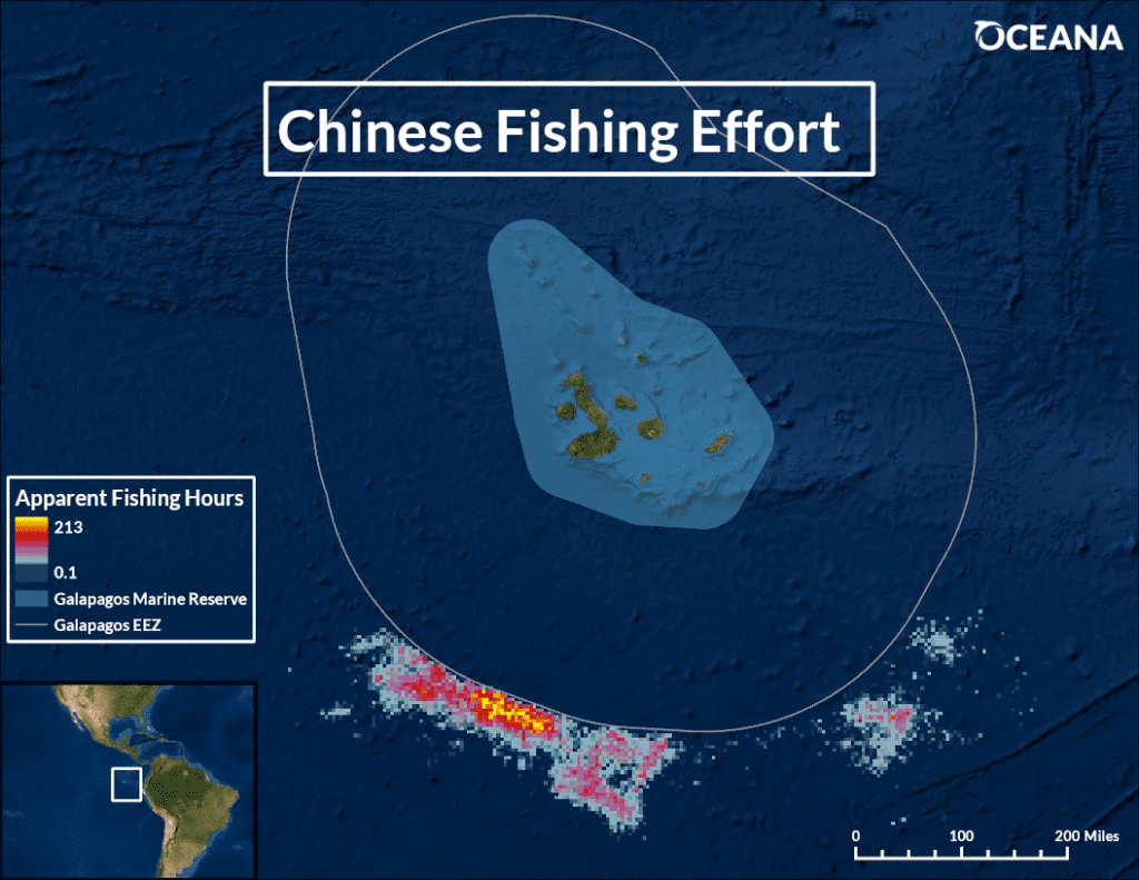 Government, Industry and Civil Society Identify Three Ways to Drive  Fisheries Transparency - Global Fishing Watch