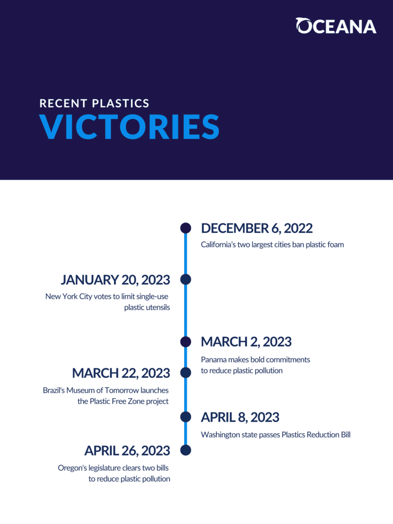 Cities Ban Styrofoam to Reduce Pollution