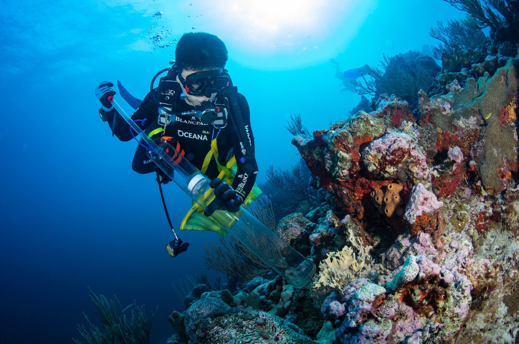 Valentina Cucchiara Bio - Saving the Ocean