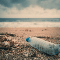 Learn more about plastic pollution