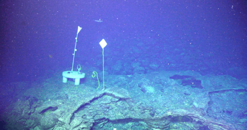 underwater ROV shot