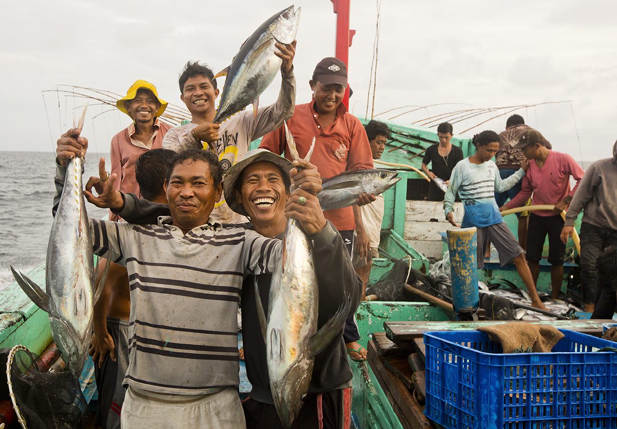 How To Pole and Line Tuna Fishing - Giant Bluefin Tuna Fish