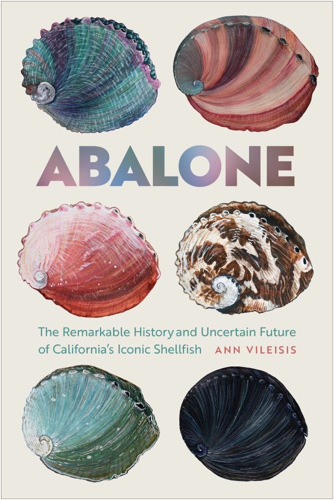 Saving California's Red Abalone