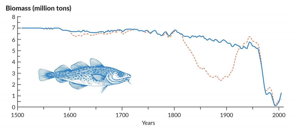 FishAct - How much do you know about longline fishing? Learn more in this  infographic from Greenpeace.