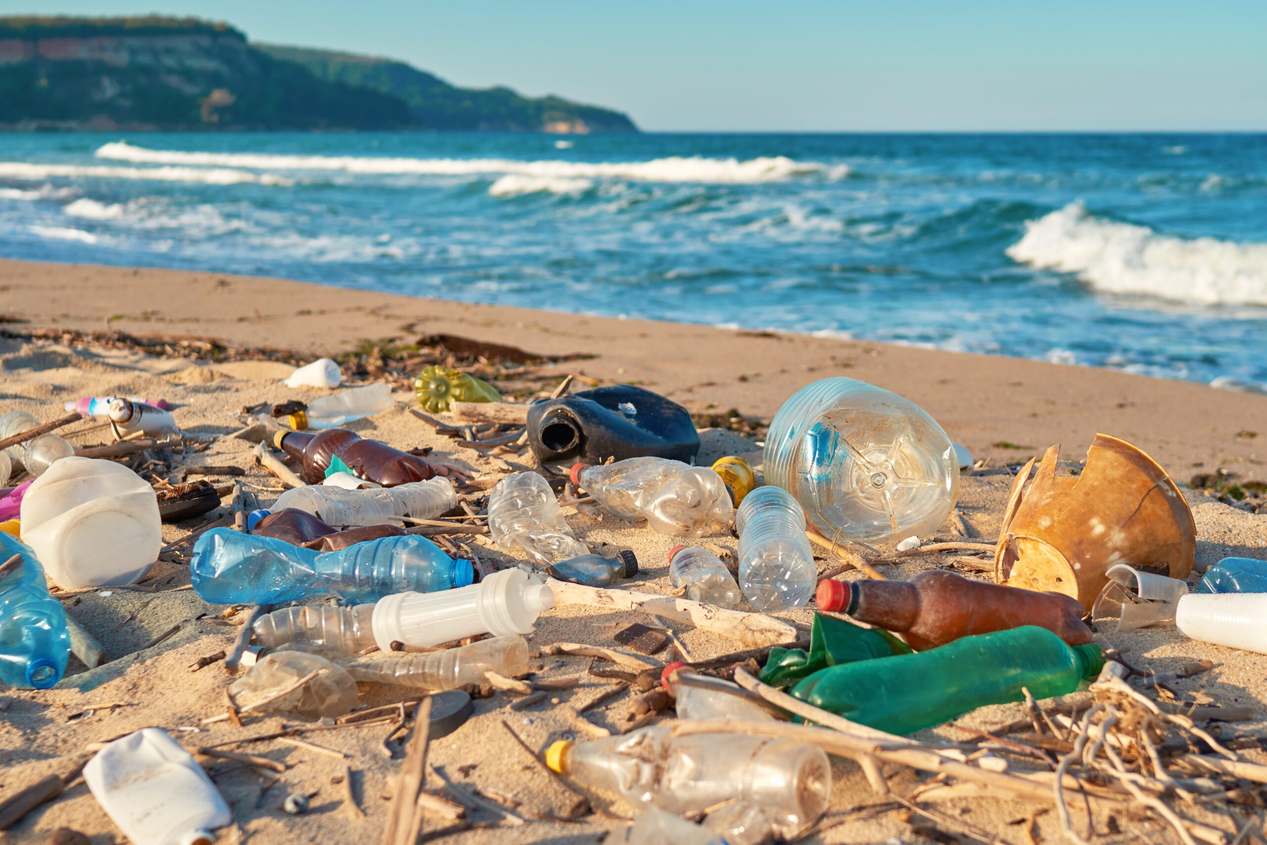 Ask Dr. Pauly: Why Are Plastics In The Ocean So Harmful? - Oceana