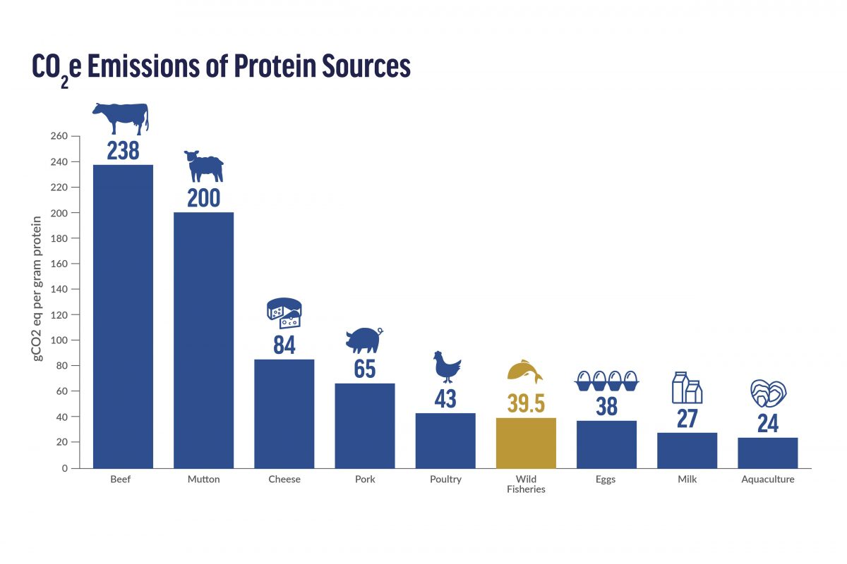 Environmental Footprint of Beef Production 