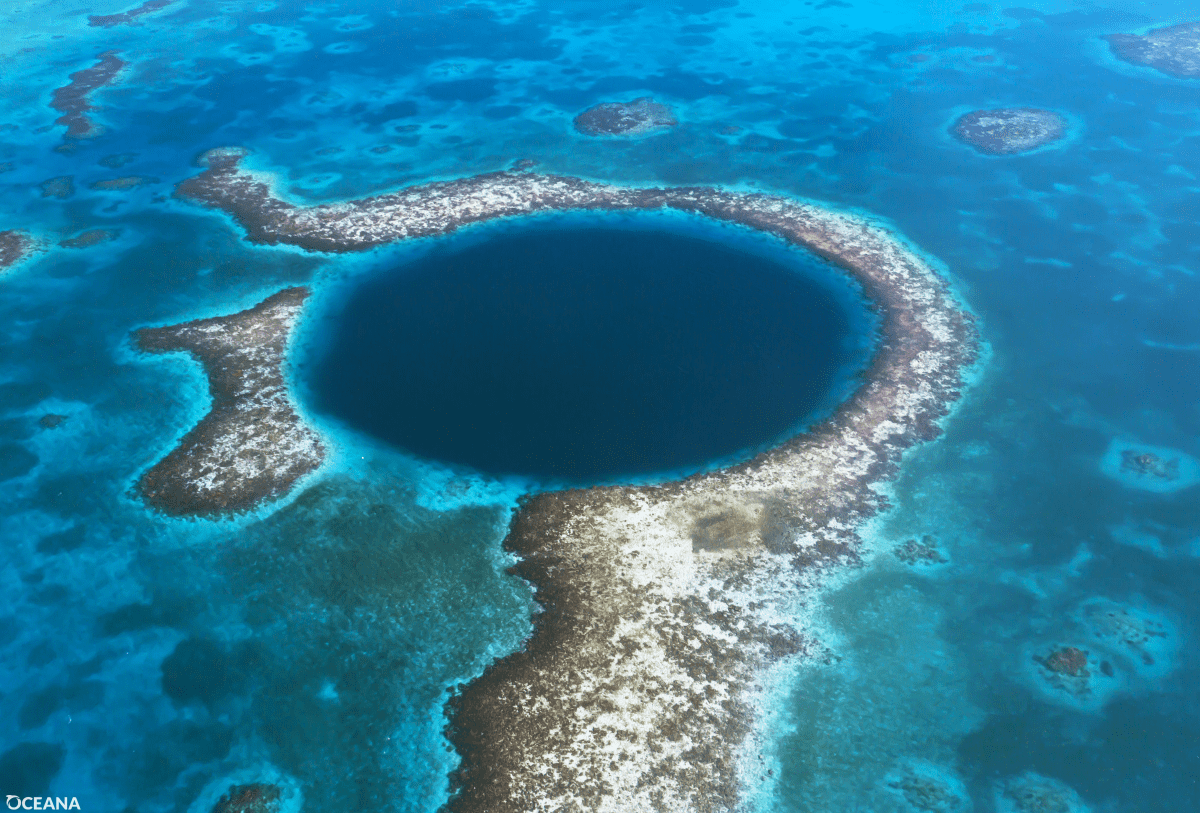 Belize became the world’s first country to reject all offshore oil ...