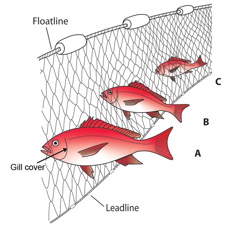 how to make a gill net 