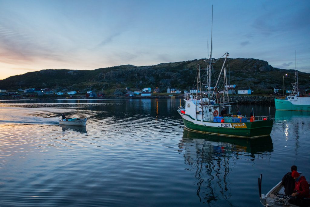 Canada's New Fisheries Act Could Help Rebuild The Country's 33 ...