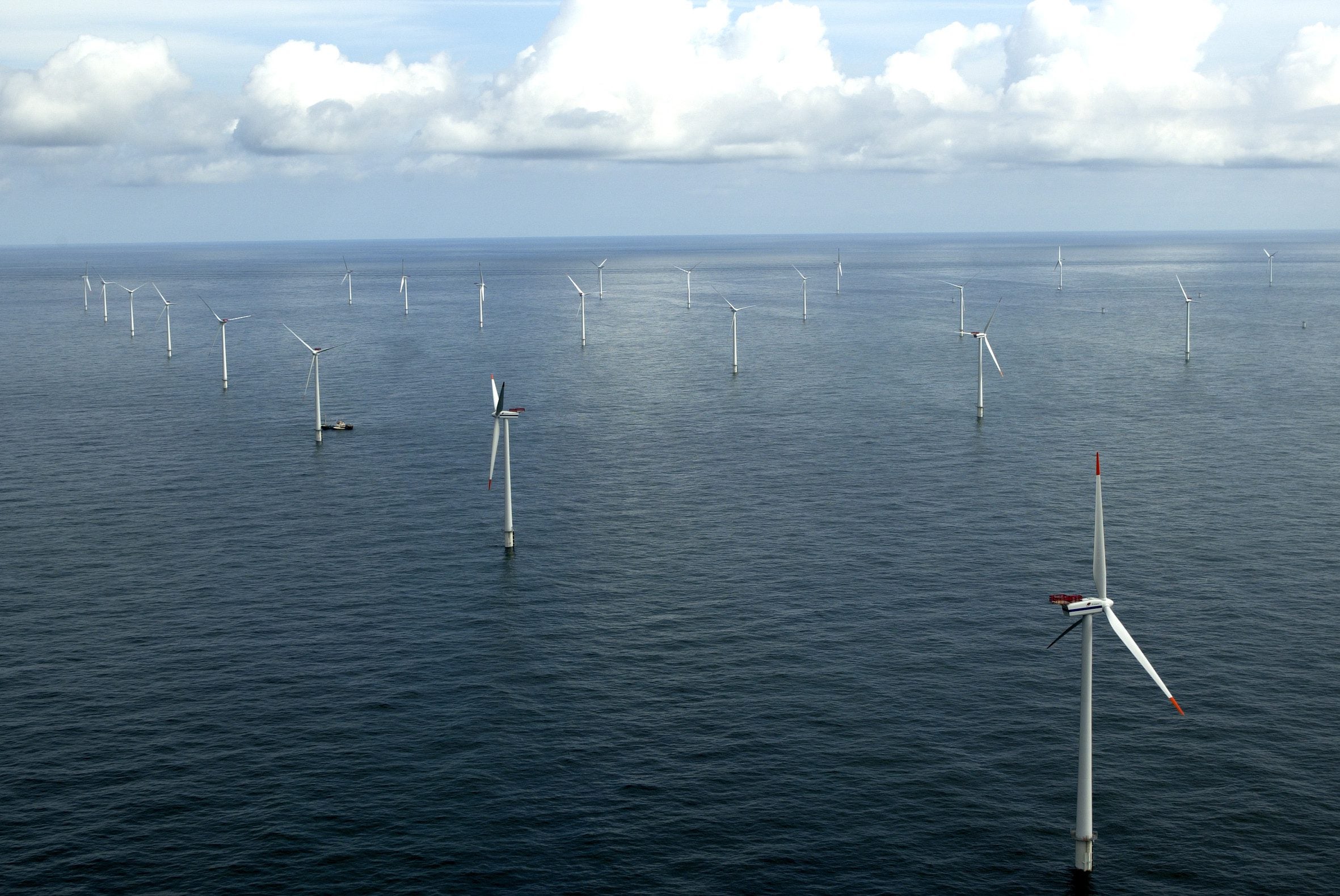 Offshore Wind | Oceana