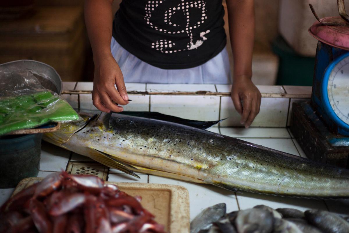 electric fishing daming hule. #philippines 