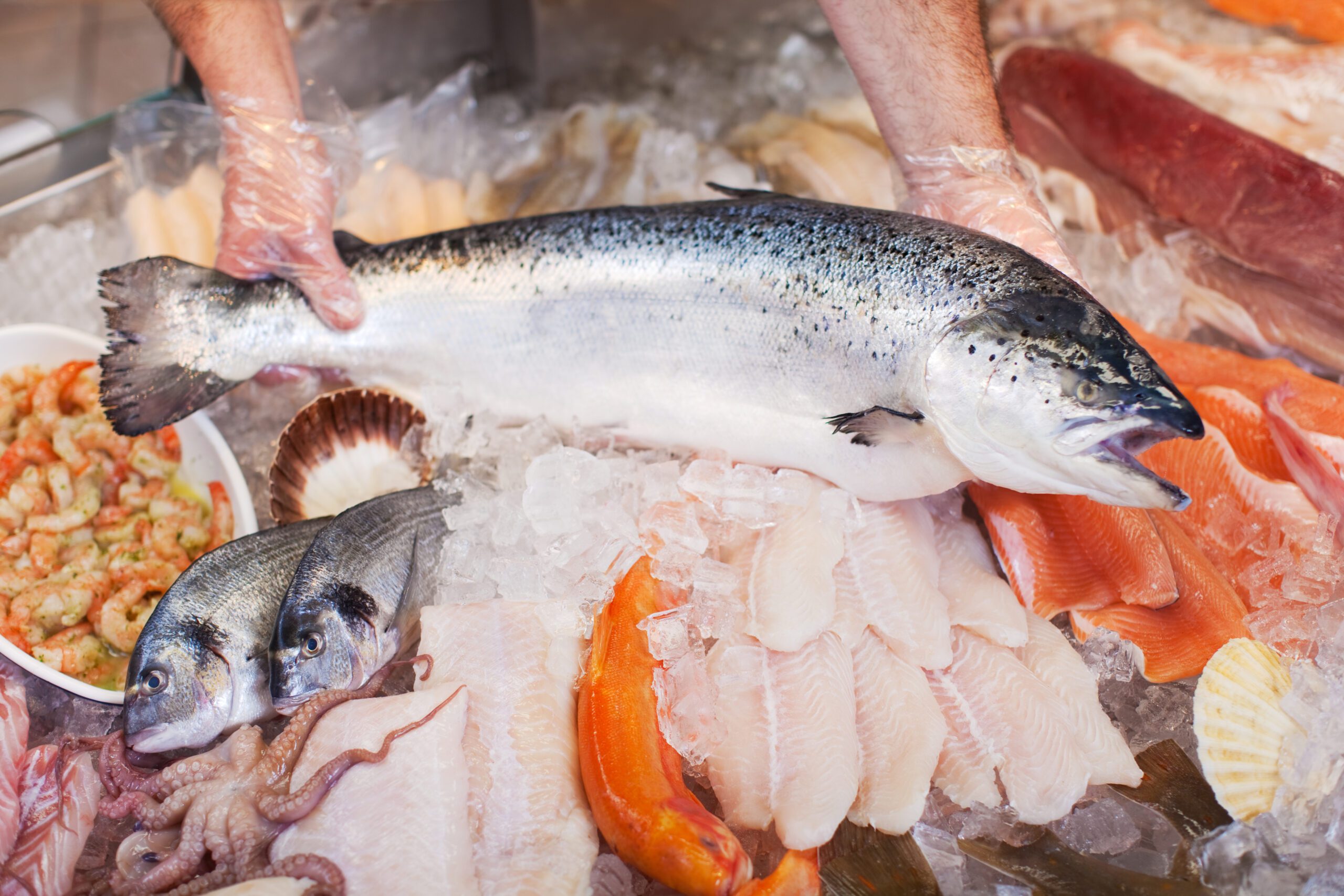 Оценка качества рыбы. Рыбная продукция. Рыба и морепродукты. Свежая рыба. Рыба заморозка.