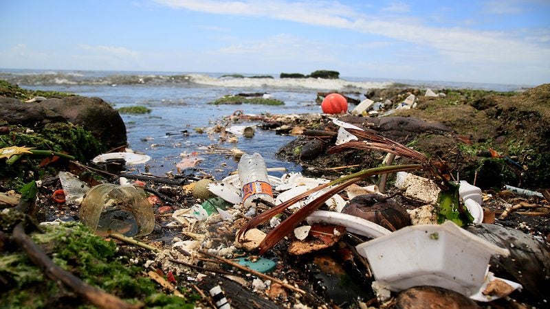 How Brazil is Tackling Pollution