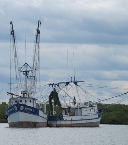 Impacts of Bottom Trawling on Fisheries, Tourism, and the Marine  Environment - Oceana