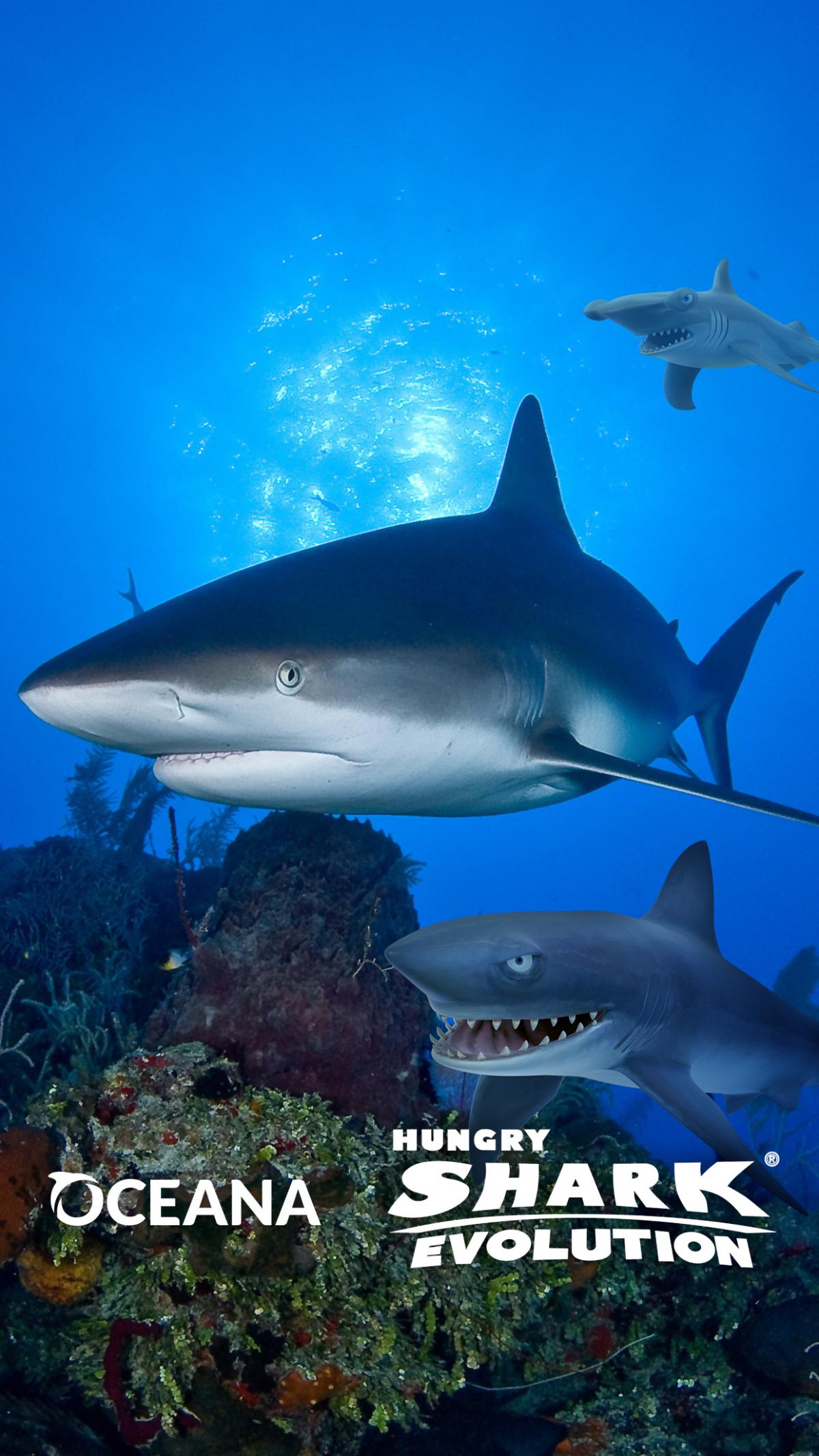 Download this wallpaper from Hungry Sharks Evolution and Oceana.