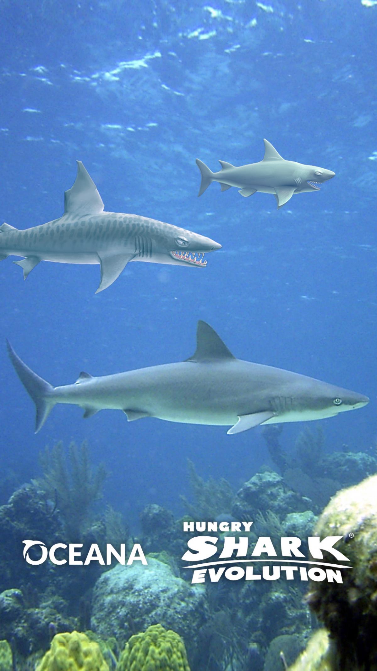 Download this mobile wallpaper from Hungry Shark Evolution and Oceana.